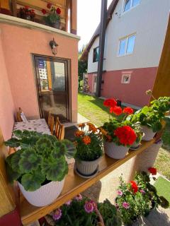 Apartman KALJEVIĆ - Žabljak - 5