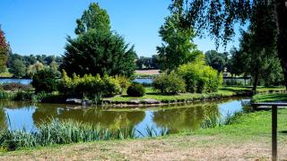 Le Domaine du Cerf Blanc - Carentoir - 6