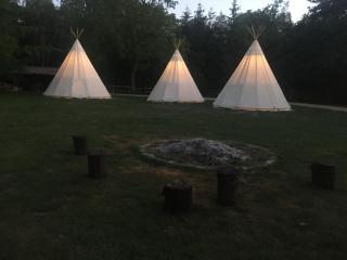 Domaine de Carnin - 1