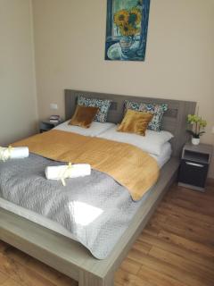 Erdei Szalonka Apartman - Sárospatak - 0