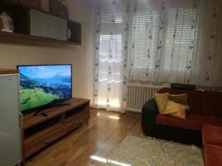 Erdei Szalonka Apartman - Sárospatak - 7