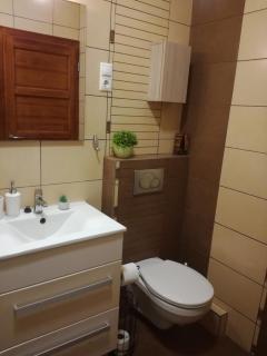 Erdei Szalonka Apartman - Sárospatak - 5