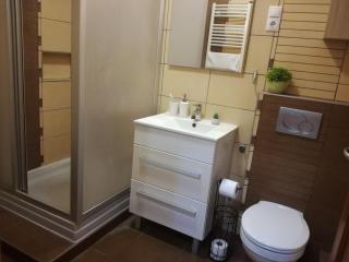 Erdei Szalonka Apartman - Sárospatak - 3
