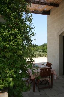 Villa Pugliese - Savelletri di Fasano - 3