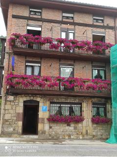 Pensión Rosa - Cabezón de la Sal - 0
