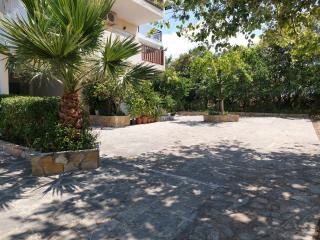 Lelegianni Studios and Apartments - Psakoudia - 5