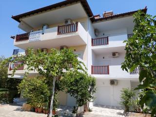 Lelegianni Studios and Apartments - Psakoudia - 6