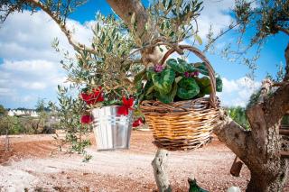 LiberaMente - Trulli & Quiete - Locorotondo - 2