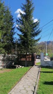 M7 Villa Bed& Bistro - Timișu de Jos - 2