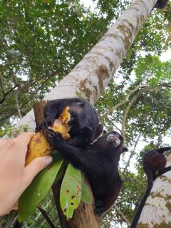 Reserva Natural Tucuchira - 4