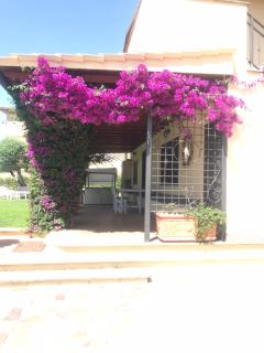 Appartamento VILLA ADRY - 7