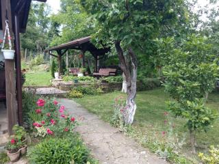 Vitanova Guest House - Genchovtsi - 4