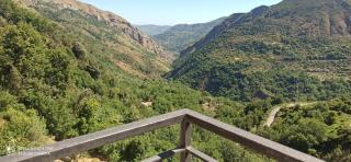 B&B Serena - Longi - 3