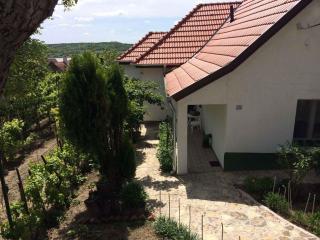 Holiday home in Tihany/Balaton 20236 - Tihany - 0