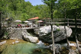 Apartment in Starigrad-Paklenica 6806 - Starigrad - 5