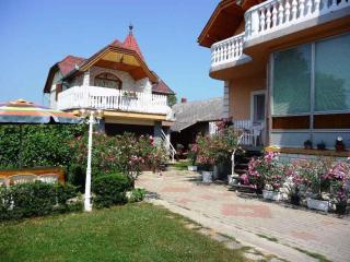Apartments in Heviz/Balaton 18903 - Hévíz - 3
