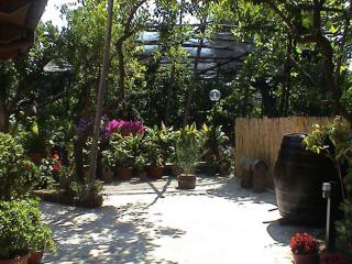 Apartment Sorrento 1 - Sorrento - 7