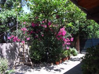 Apartment Sorrento 1 - Sorrento - 1