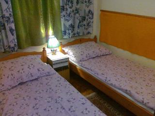 Holiday home in Balatonfenyves 18465 - Balatonfenyves - 2