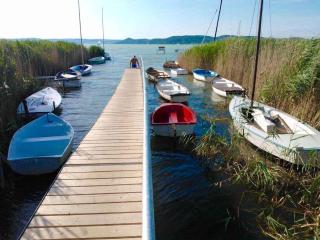 Holiday home in Szantod - Balaton 20220 - 5
