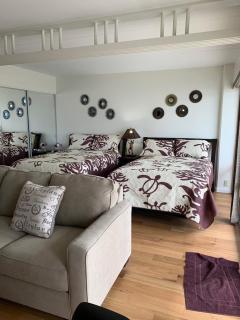 Ilikai Tower 1113 - Fully furnished condo with FREE wifi - Honolulu - 8