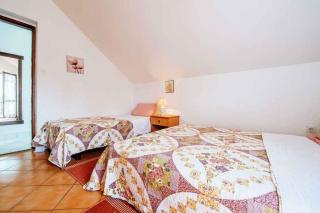 Apartment in Petrcane/Zadar Riviera 7842 - Petrcane - 5