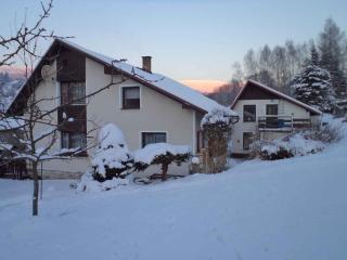 Apartment in Rokytnice nad Jizerou 2102 - Rokytnice nad Jizerou - 4