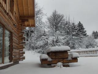 Chalet Authentique en Forêt, 6 Pers, Proche Gérardmer, Sentiers & Stations de Ski - FR-1-589-378 - Anould - 1