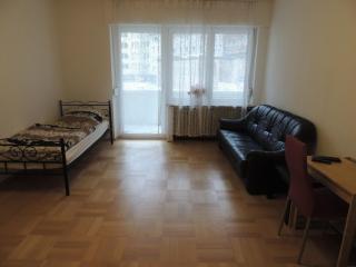 Schönes Apartment in Essen - Essen - 4