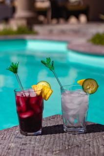 Casa Las Palmas, San Miguel de Allende - 5