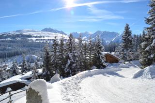 Appartement Hotel Sonneck - 2