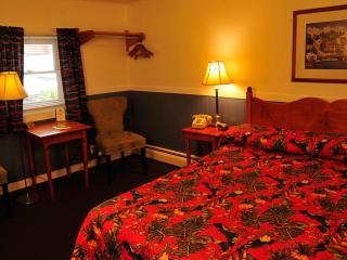Willows Motel - Williamstown - 3