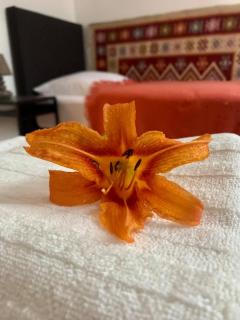 Apartament w starej kamienicy w Reszlu - 0