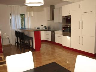 Near the beach, 8 bedrooms, sleeps 22, Jacuzzi, Full AC, BBQ, 2 kitchens, 2 dishwashers, fast internet, ping pong, cars not necessary - 1