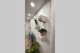 Luxury APARTMAN BILI - Podgora - 2