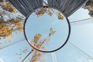 The Ocean Dome - Misty Mountain Reserve - 1