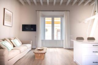 G12 Trendy and Comfy bright loft meters from Bullring and Trianas bridge, Galera street - Sevilla - 0
