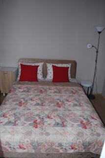 Apartmani ,studija i sobe Savić - 2