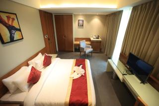 The Byke Delotel - Bombay - 1