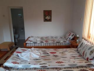 Guest House Stoletnika - Yagodina - 9