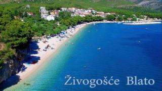 Apartman Plaža - 1