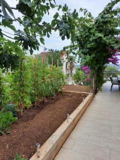 Half of house to rent - family Zelenika - Trogir - 6
