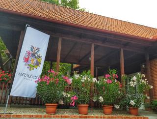 Antalóczy Winery&Apartments - Tokaj - 1