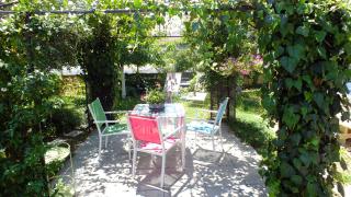 La Maison sous l'olivier - Morières-lès-Avignon - 3