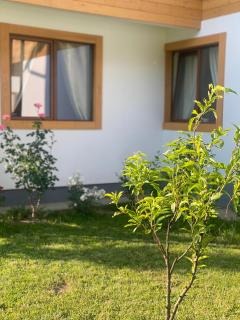 Anahouse - Vişeu de Sus - 9