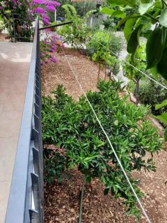 Half of house to rent - family Zelenika - Trogir - 5