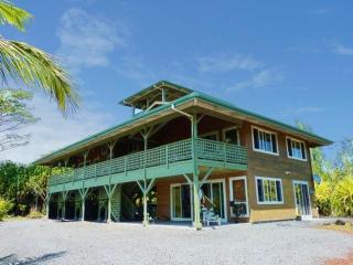 Hale Ki'i Maka Manu home - Keaau - 8