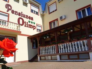 Pensiunea Olimp - Arad - 8