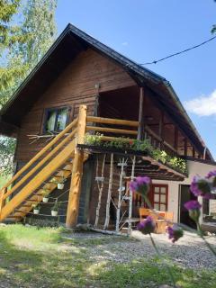 Pensiunea Padina - Bran - 0