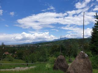Pensiunea Padina - Bran - 7